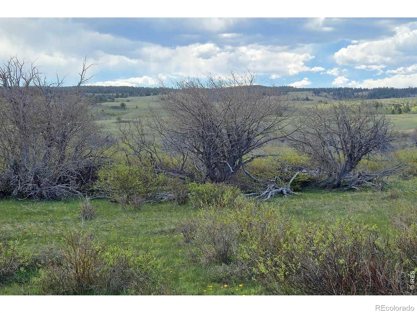 MLS Image #5 for 1730 n county road 89 ,, Colorado