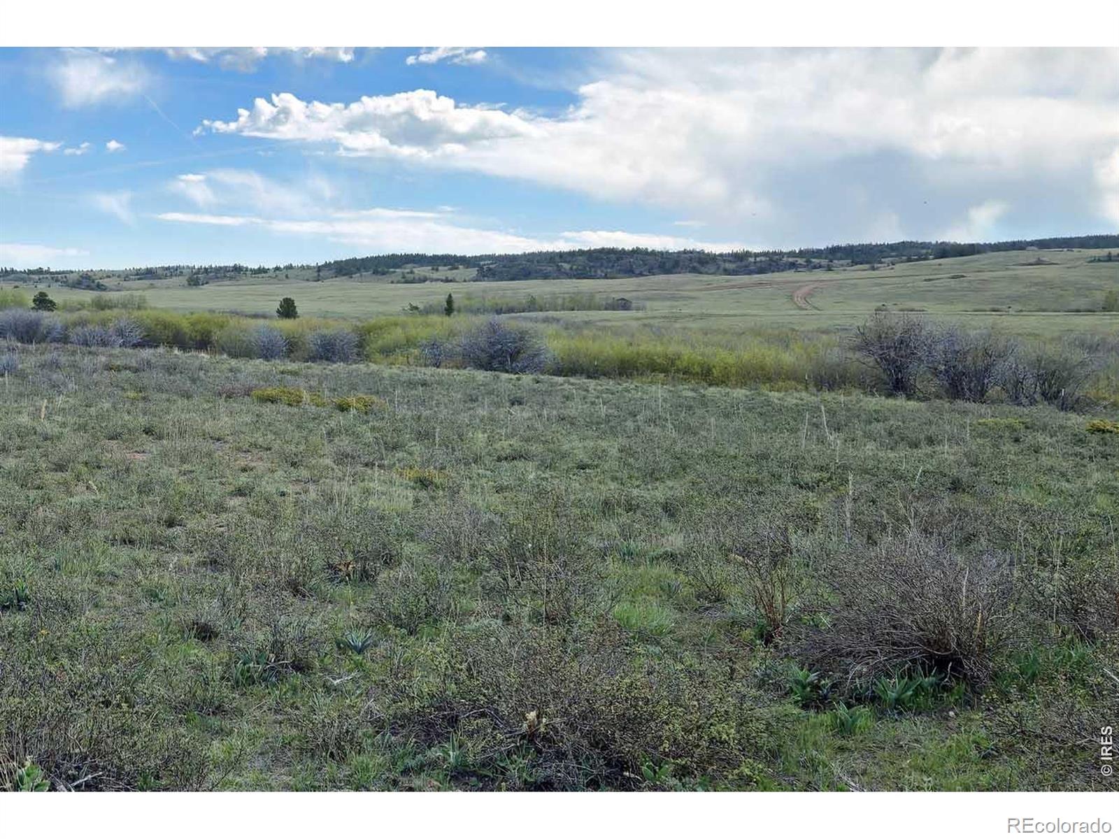 MLS Image #6 for 1730 n county road 89 ,, Colorado