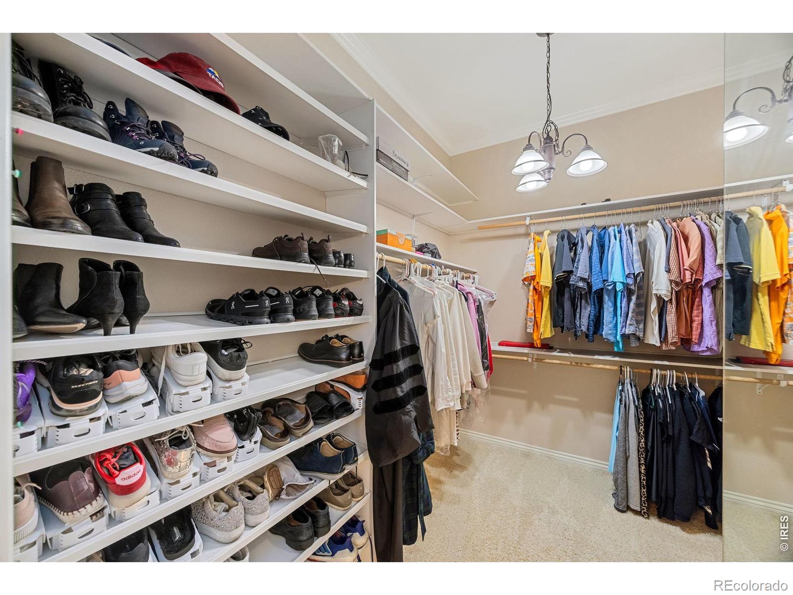 MLS Image #18 for 5834  watson drive,fort collins, Colorado