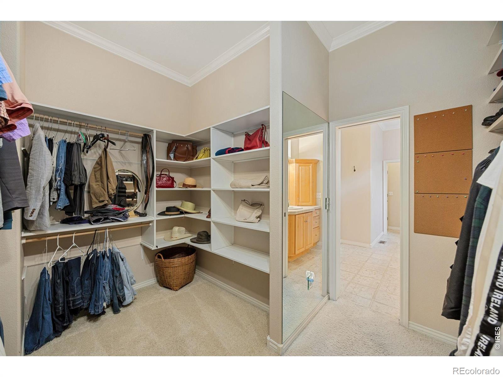 MLS Image #19 for 5834  watson drive,fort collins, Colorado