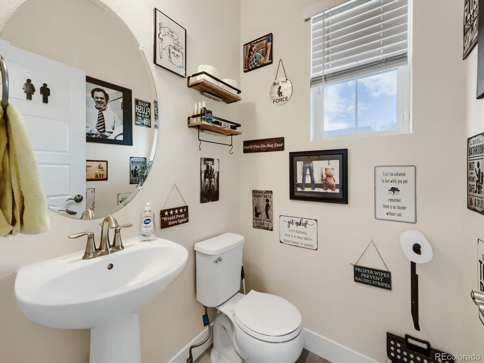 MLS Image #13 for 5484  blue lunar lane,castle rock, Colorado