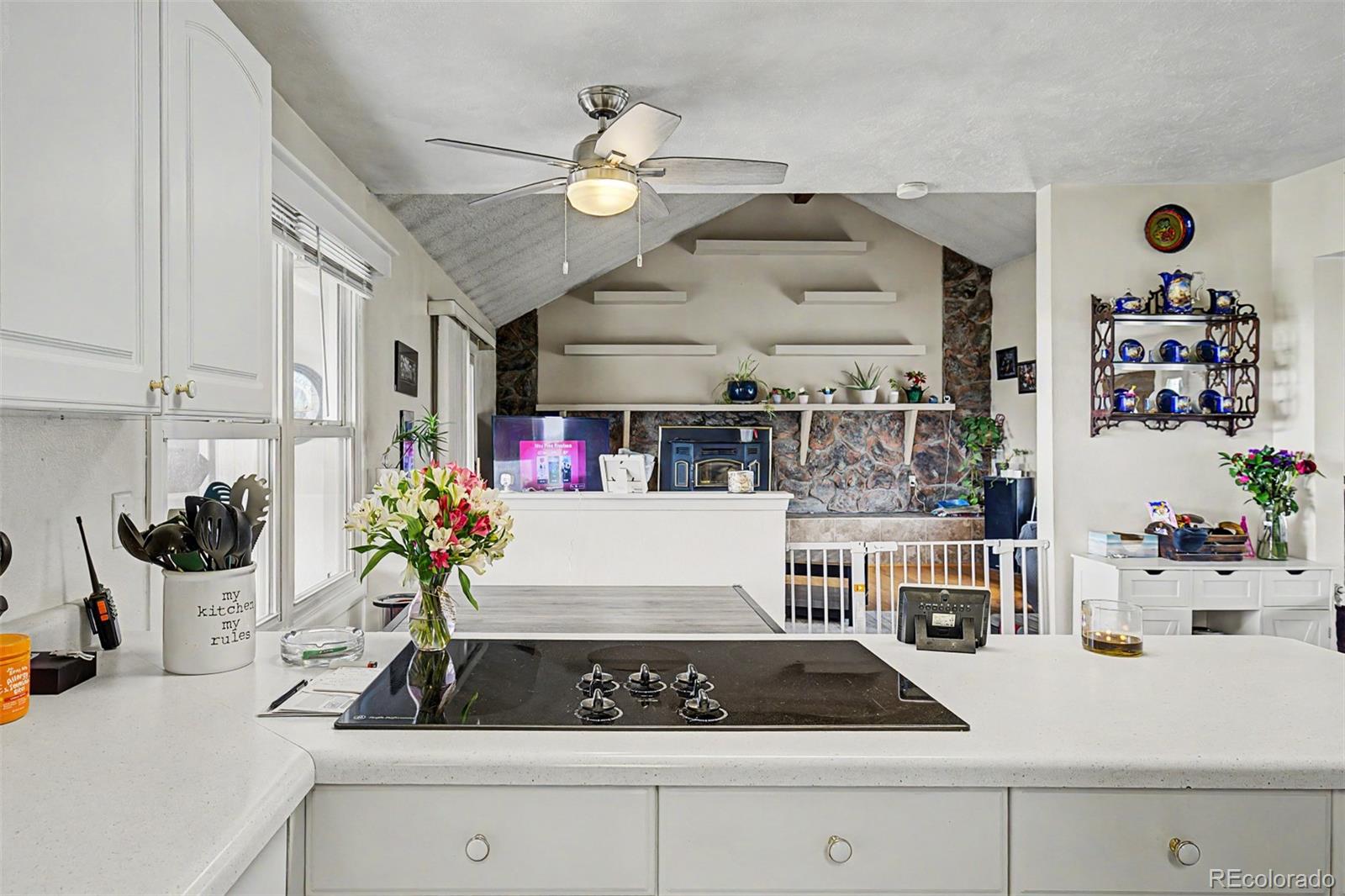 MLS Image #16 for 1563  lisbon drive,parker, Colorado