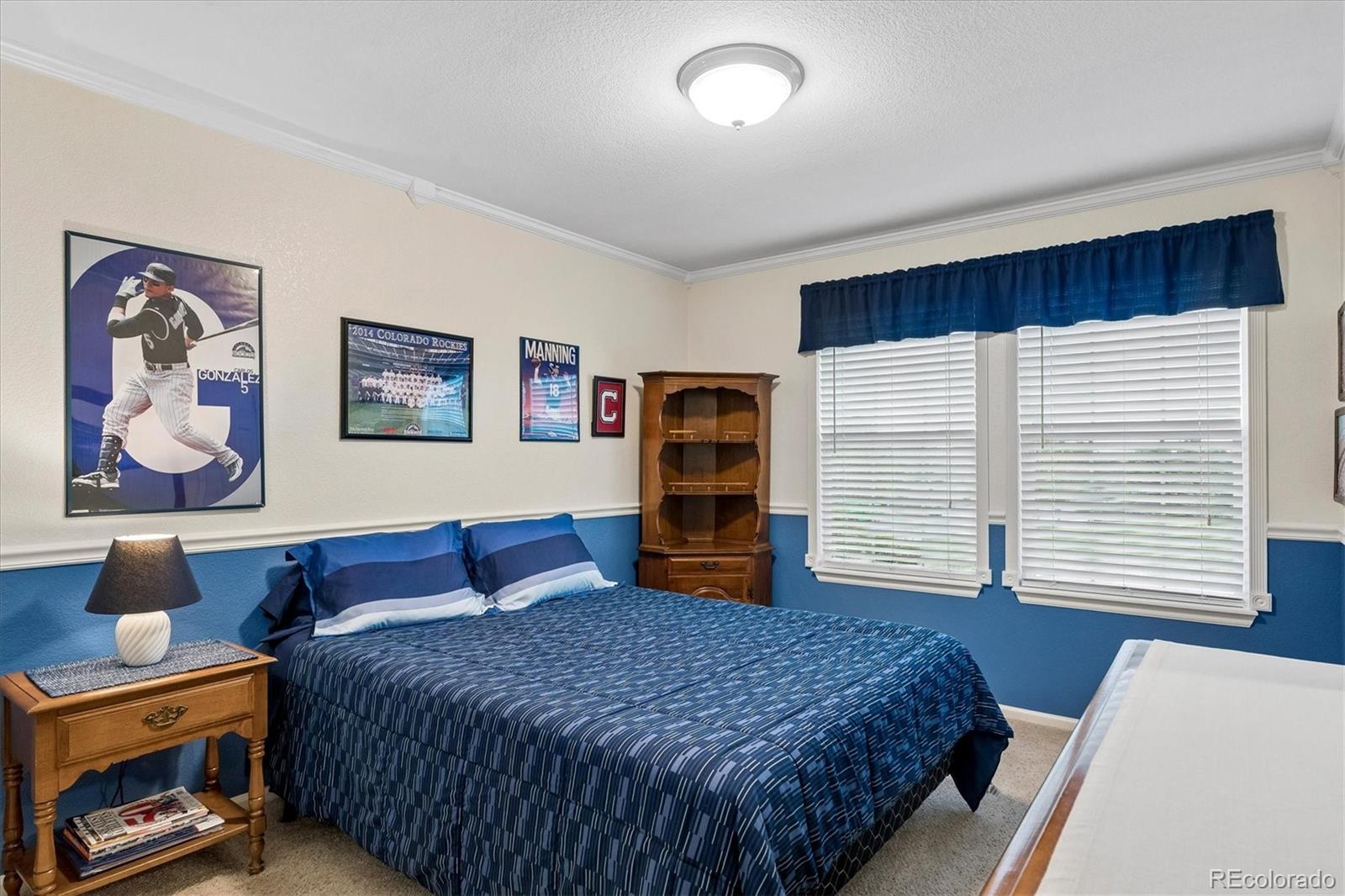 MLS Image #19 for 11580  terrawood court,parker, Colorado