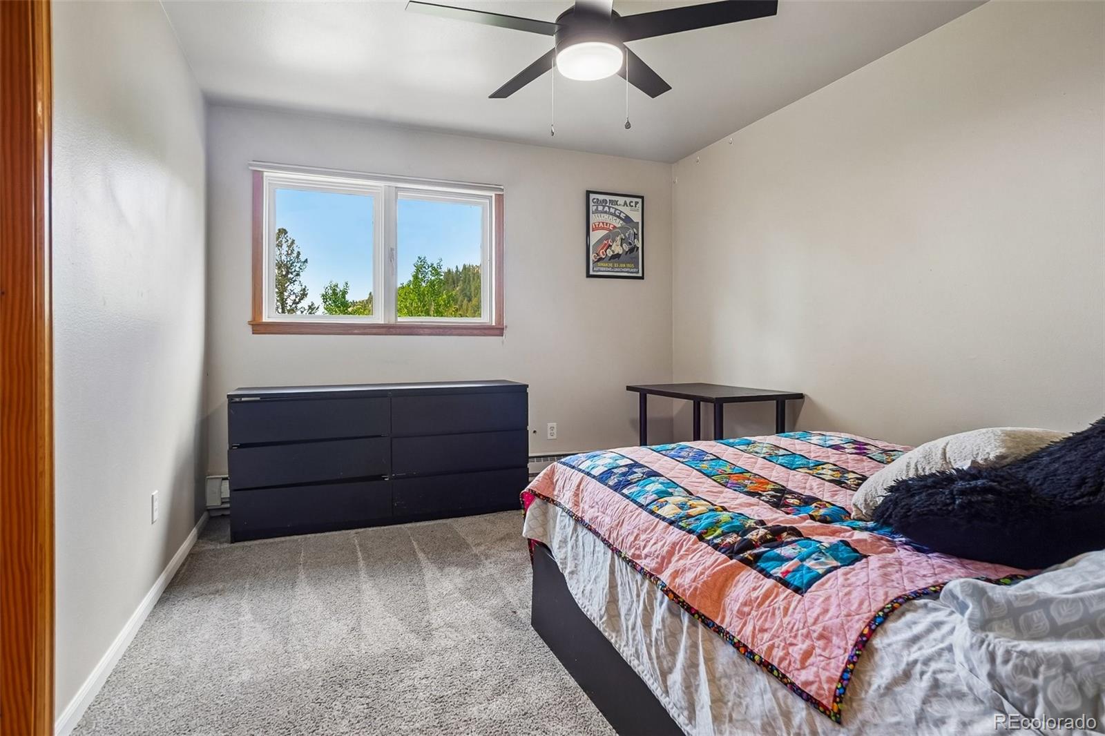 MLS Image #18 for 31582  pike view drive,conifer, Colorado