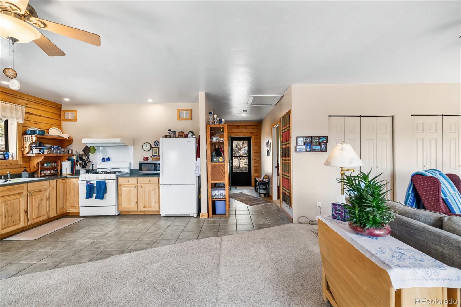 MLS Image #21 for 360  musket lane,como, Colorado