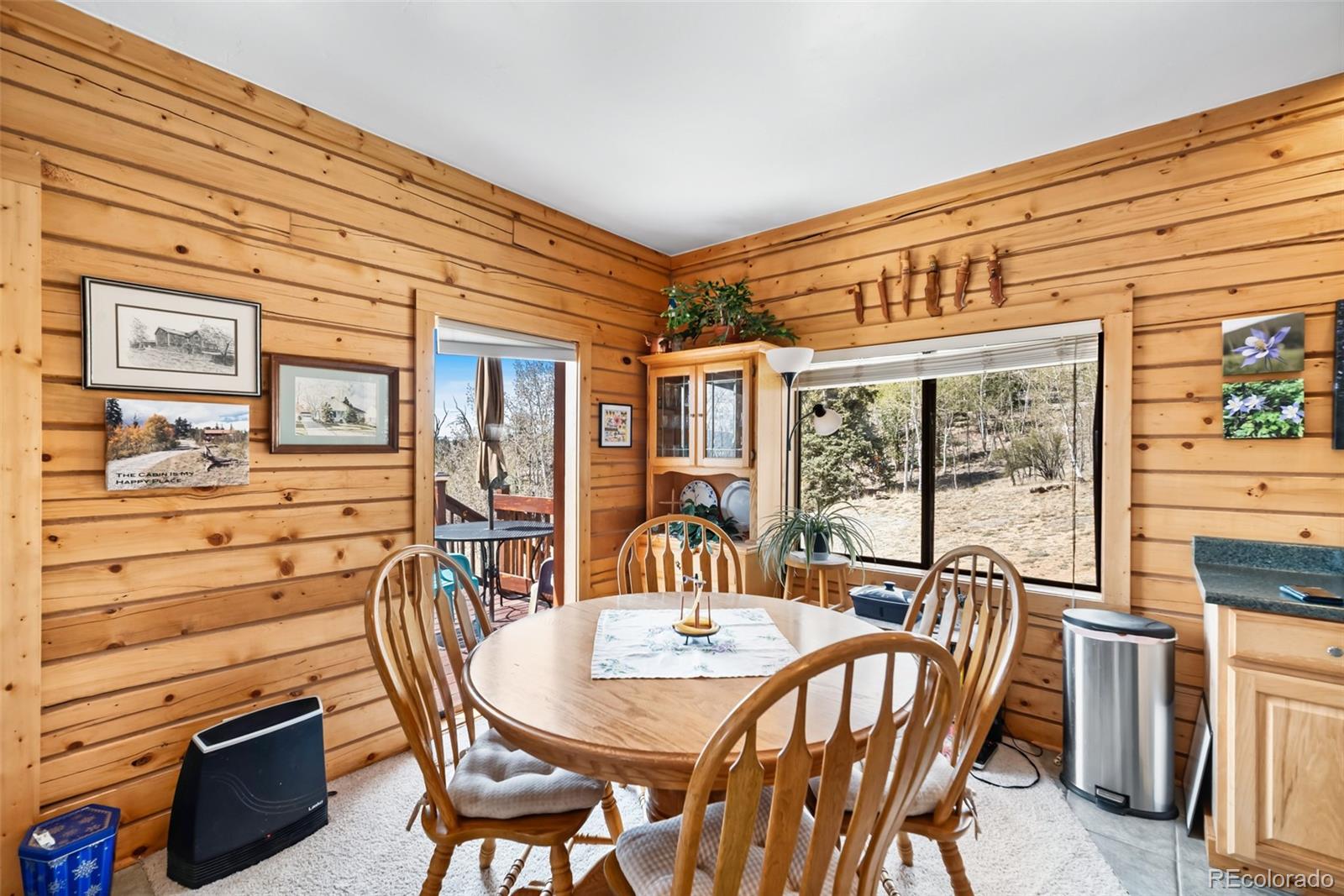 MLS Image #23 for 360  musket lane,como, Colorado