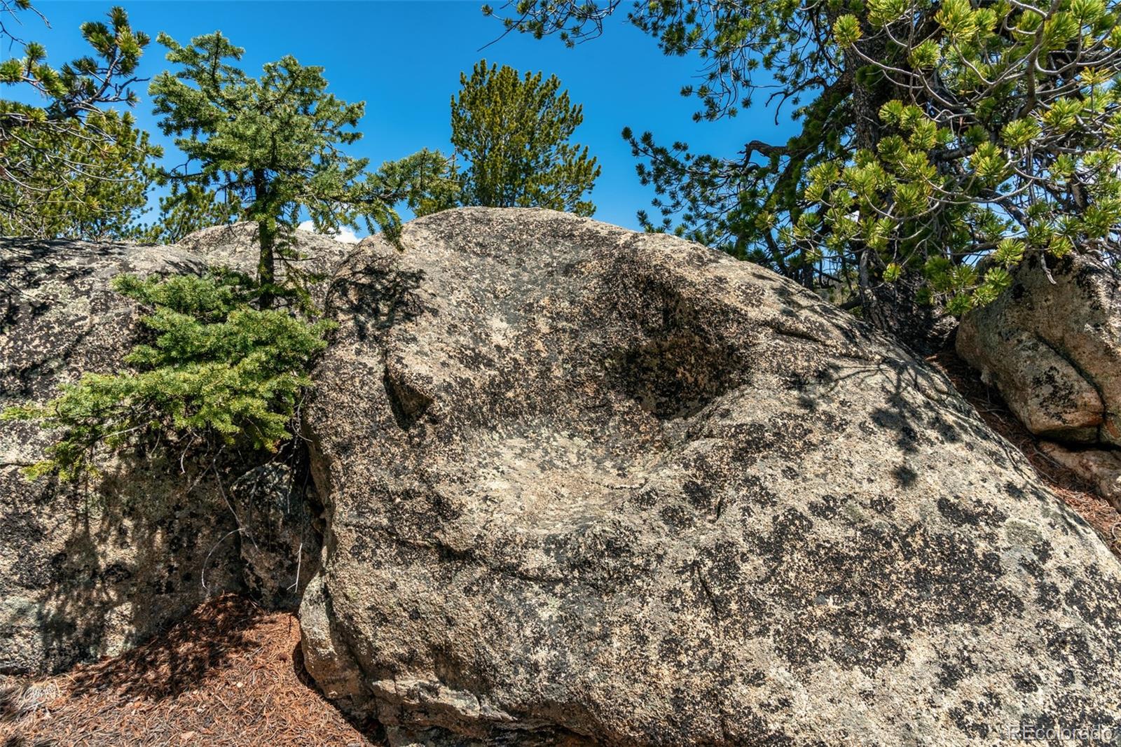 MLS Image #34 for 360  musket lane,como, Colorado