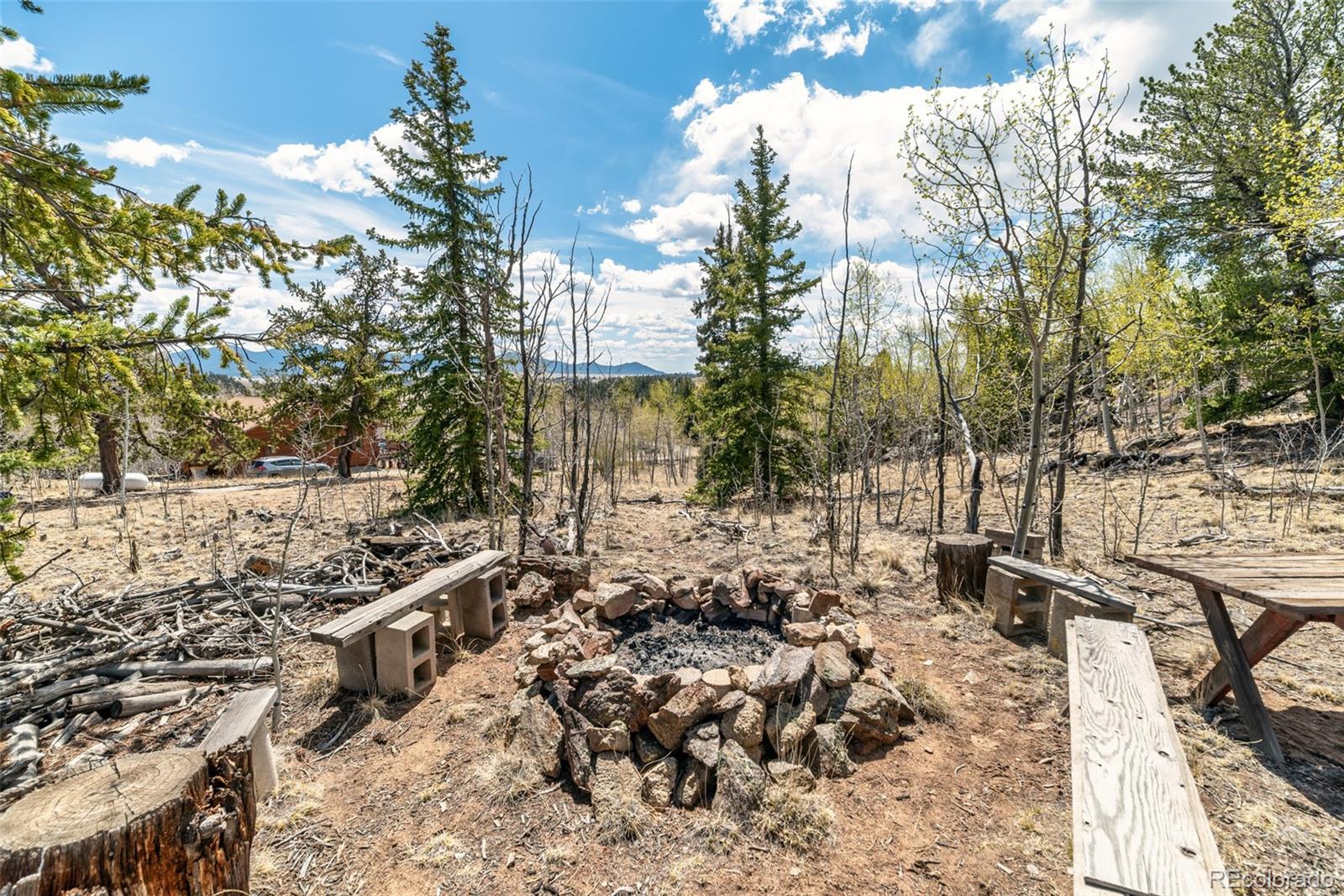 MLS Image #37 for 360  musket lane,como, Colorado