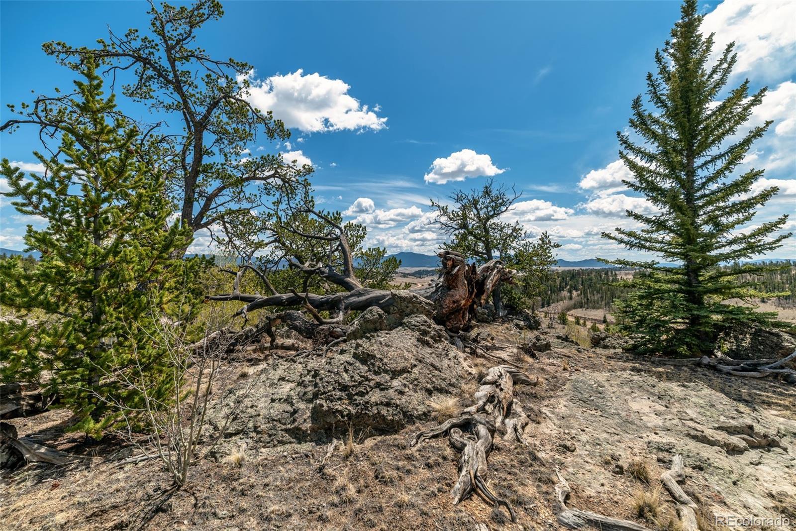 MLS Image #38 for 360  musket lane,como, Colorado