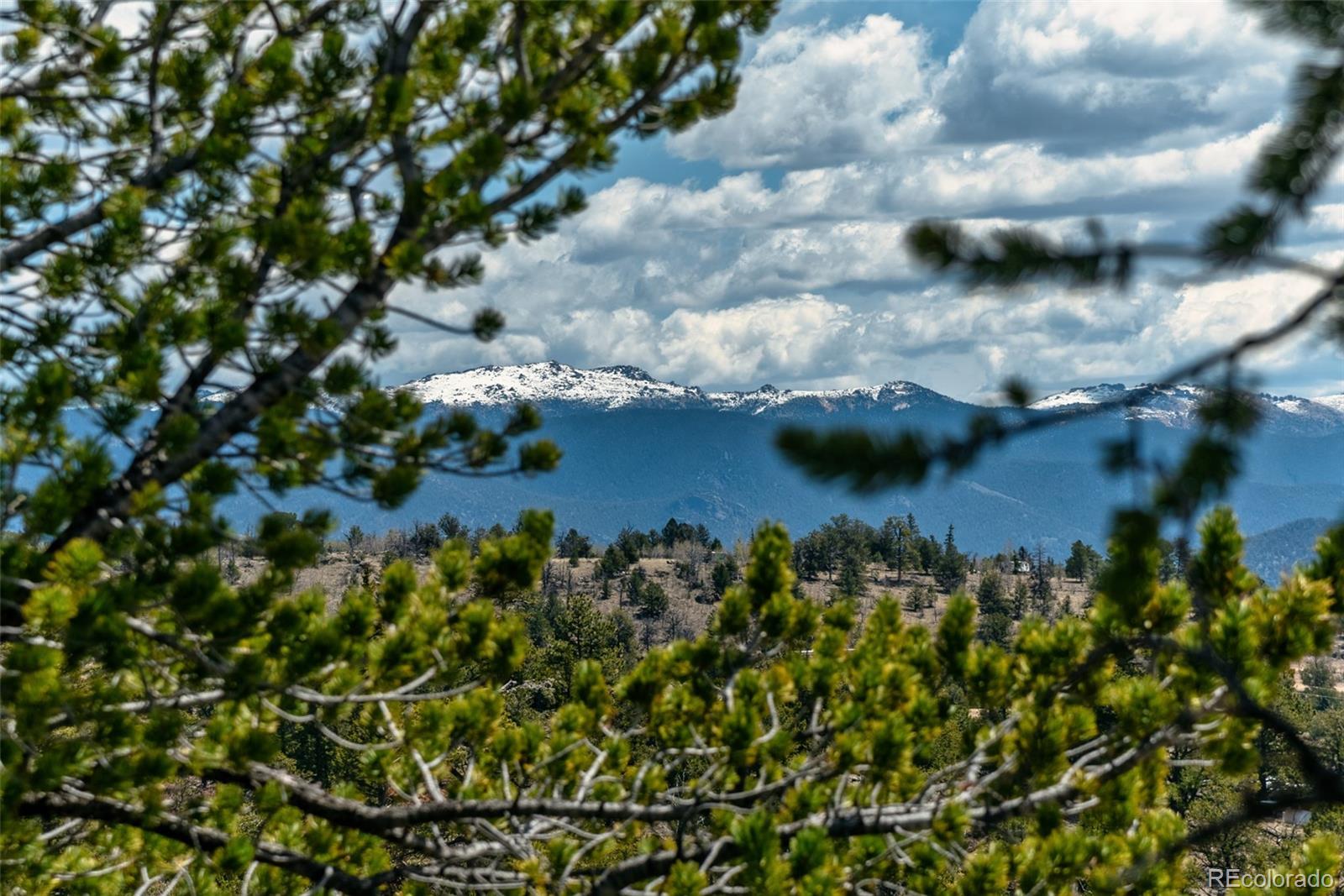MLS Image #40 for 360  musket lane,como, Colorado
