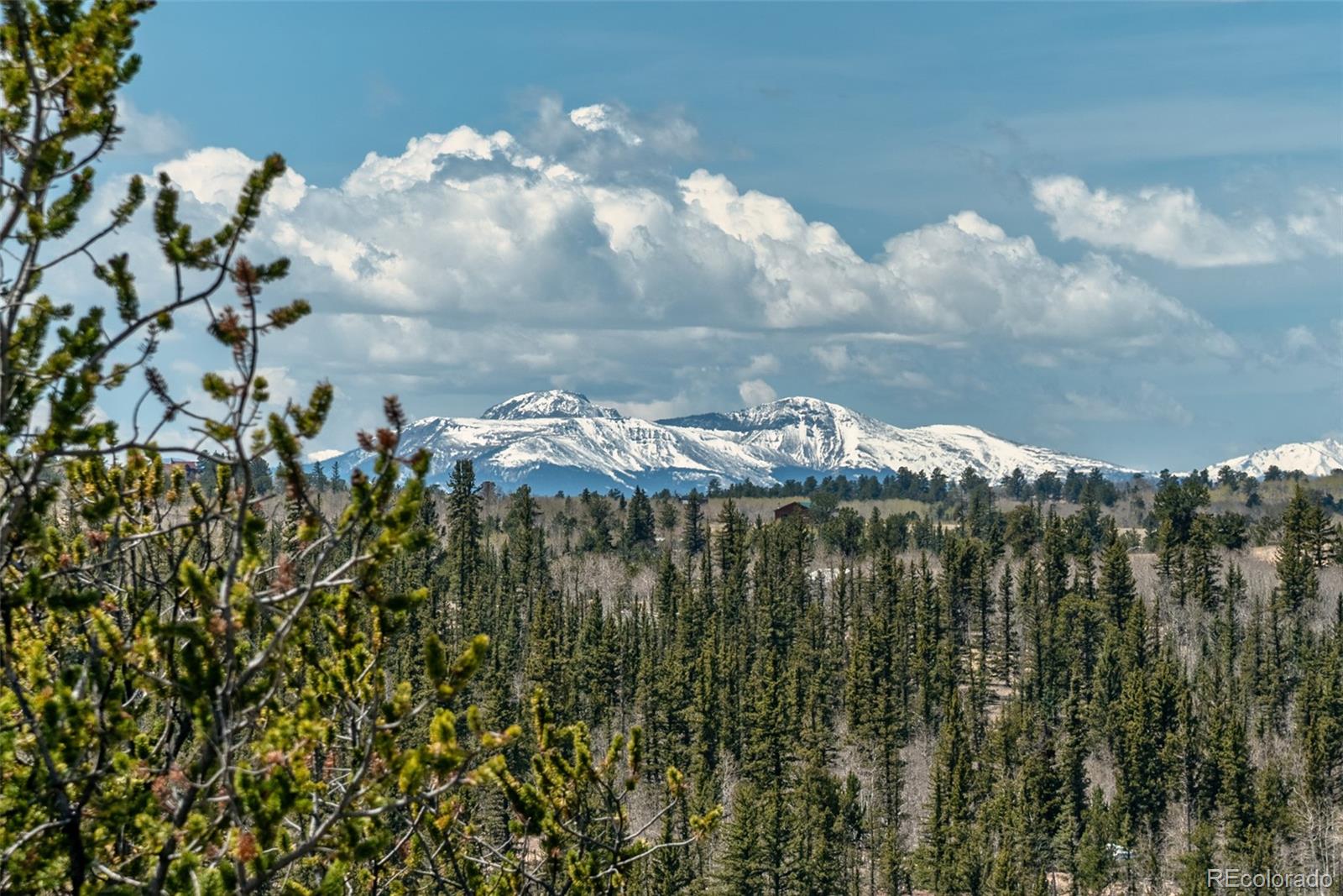 MLS Image #41 for 360  musket lane,como, Colorado