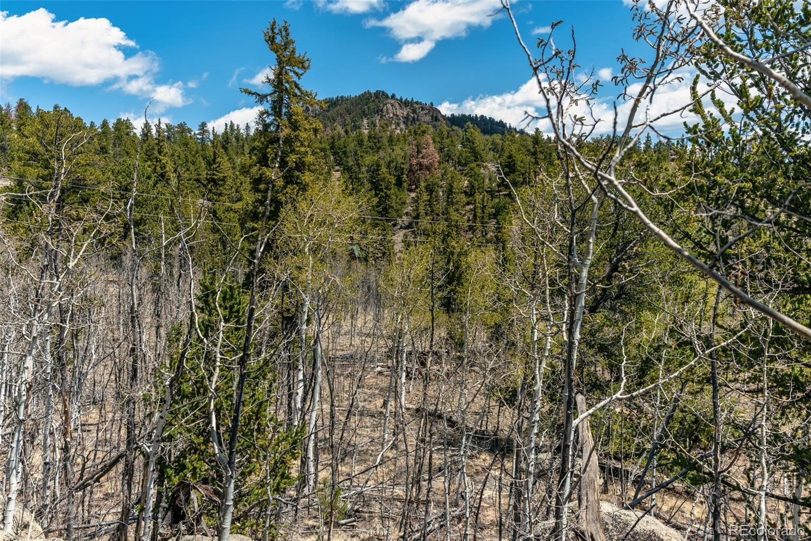 MLS Image #42 for 360  musket lane,como, Colorado