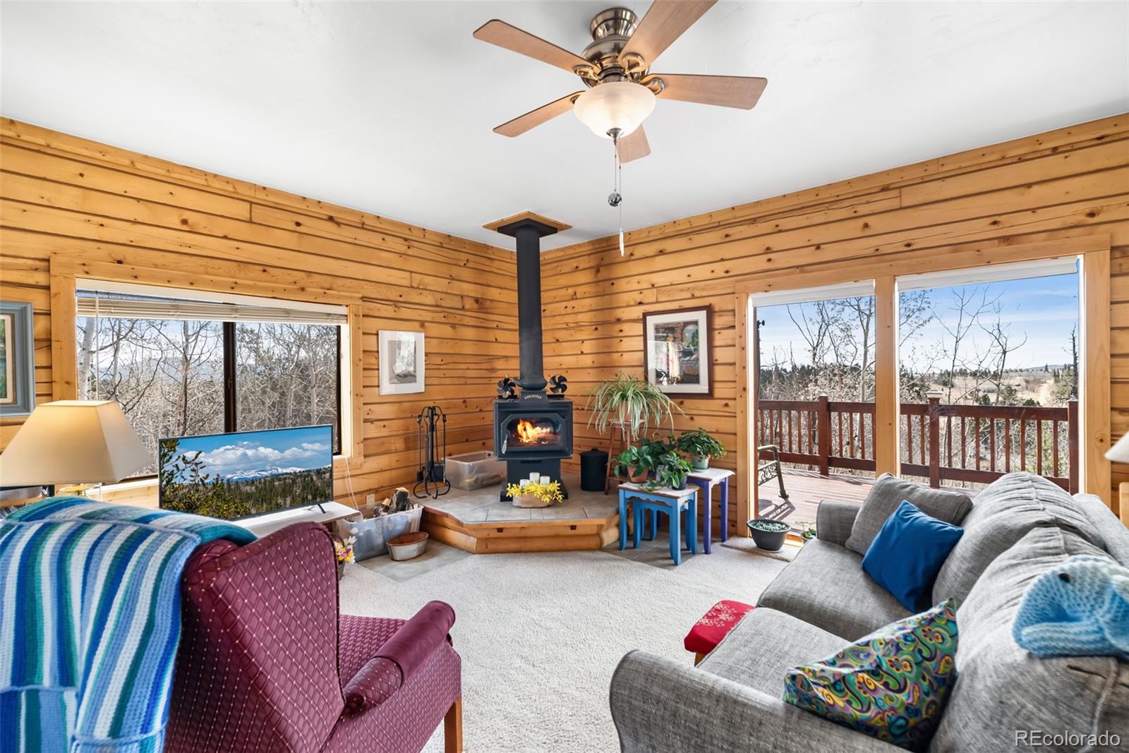 MLS Image #6 for 360  musket lane,como, Colorado