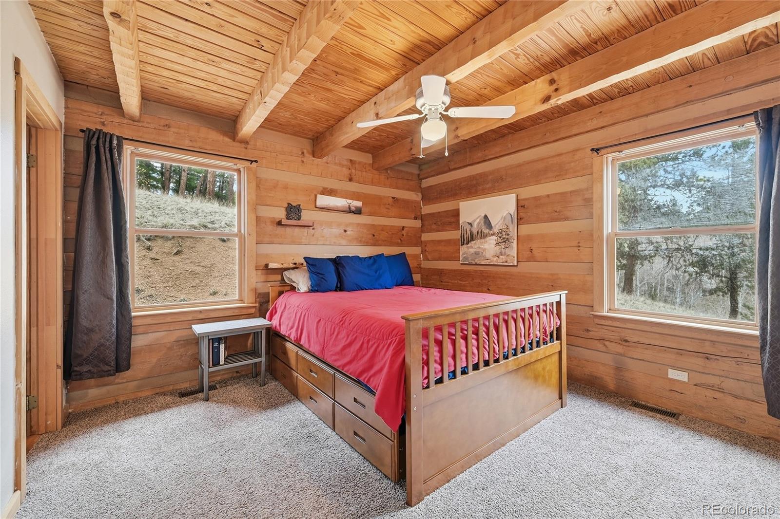 MLS Image #14 for 123  granby lake way,divide, Colorado