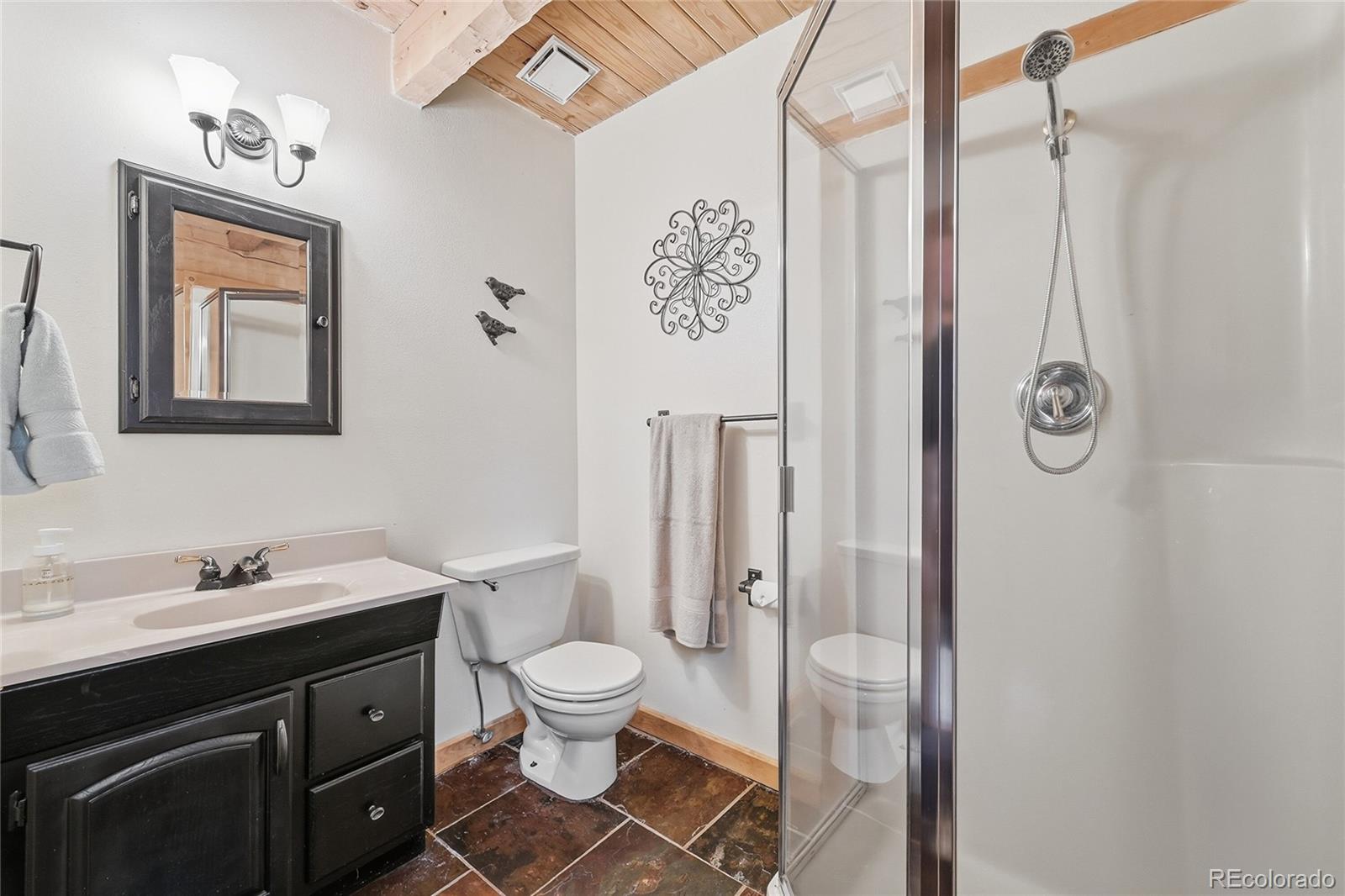 MLS Image #15 for 123  granby lake way,divide, Colorado