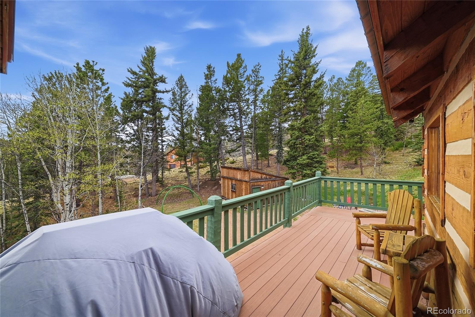 MLS Image #4 for 123  granby lake way,divide, Colorado