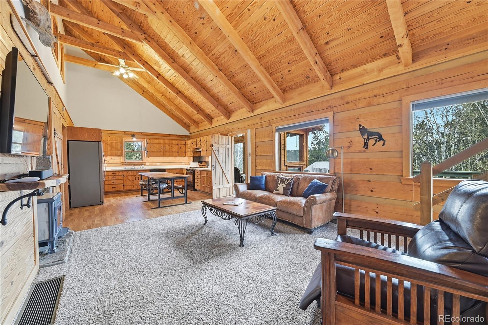 MLS Image #6 for 123  granby lake way,divide, Colorado