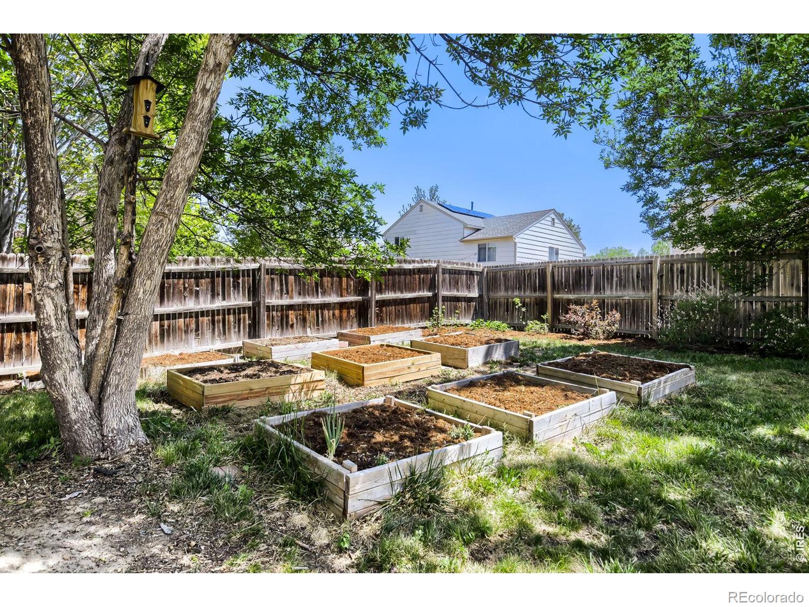 MLS Image #24 for 1633  deerwood drive,longmont, Colorado