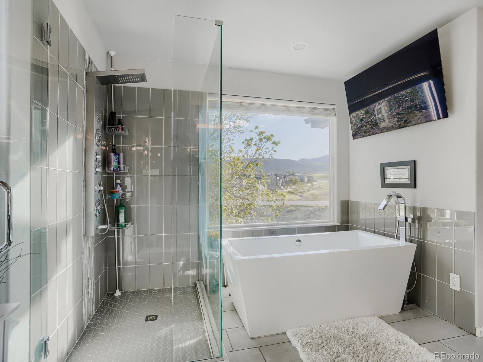 MLS Image #17 for 11492 w cooper drive,littleton, Colorado