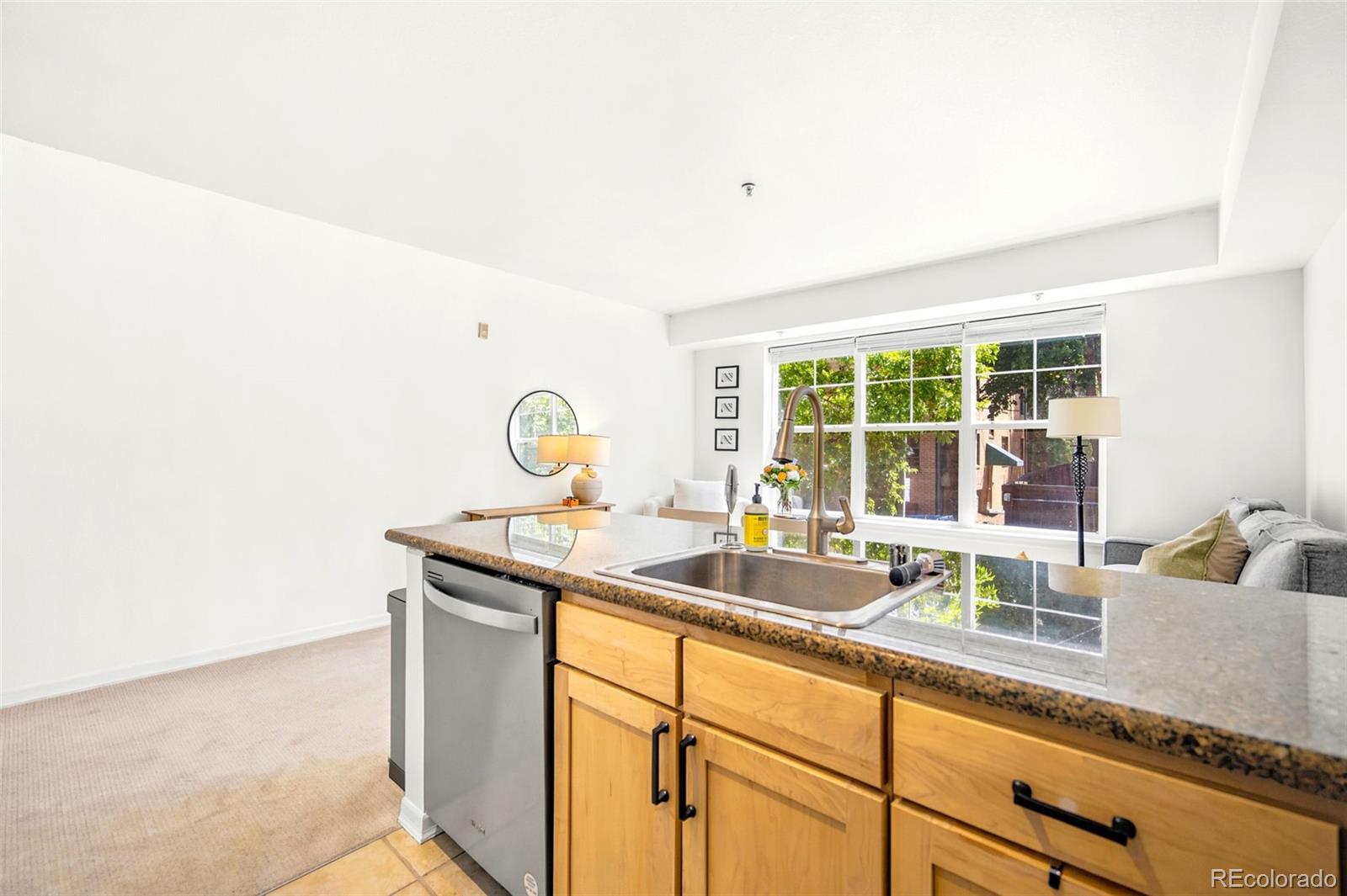 MLS Image #16 for 1623  saint paul street,denver, Colorado