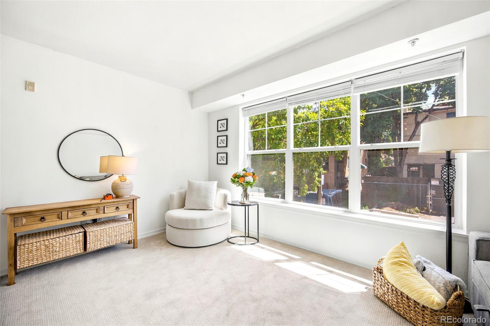 MLS Image #3 for 1623  saint paul street,denver, Colorado
