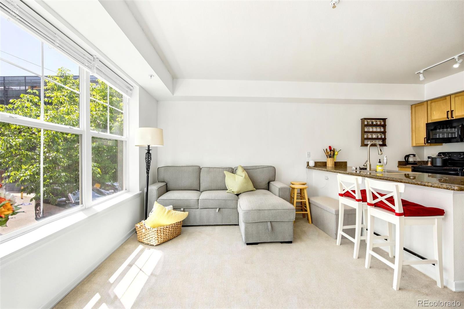MLS Image #6 for 1623  saint paul street,denver, Colorado