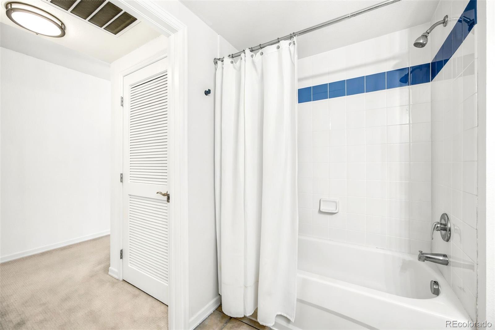 MLS Image #8 for 1623  saint paul street,denver, Colorado