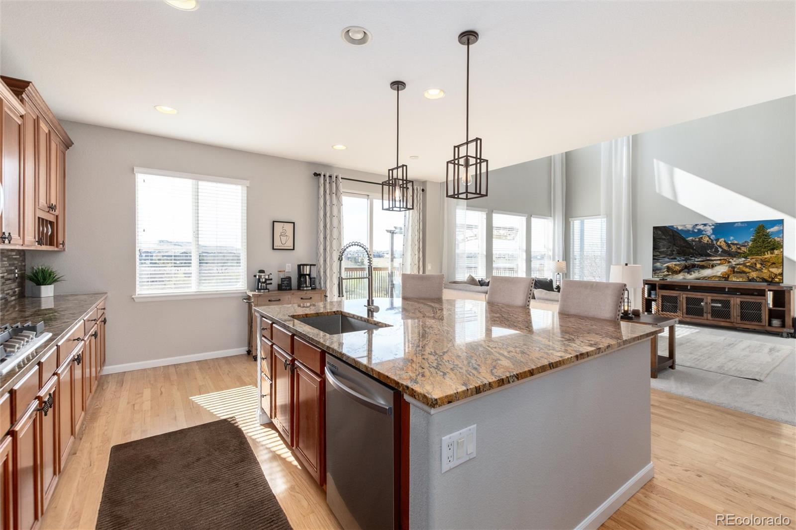 MLS Image #10 for 15477 e flower mound place,parker, Colorado