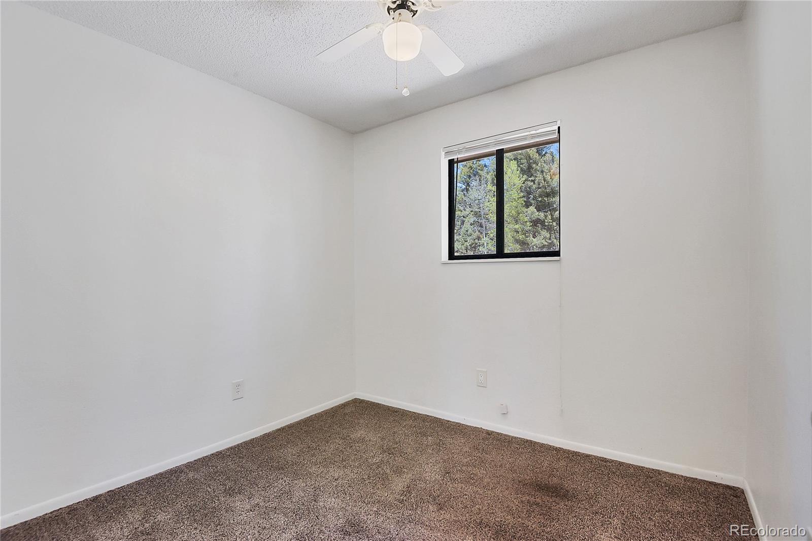 MLS Image #16 for 12276  styve road,conifer, Colorado