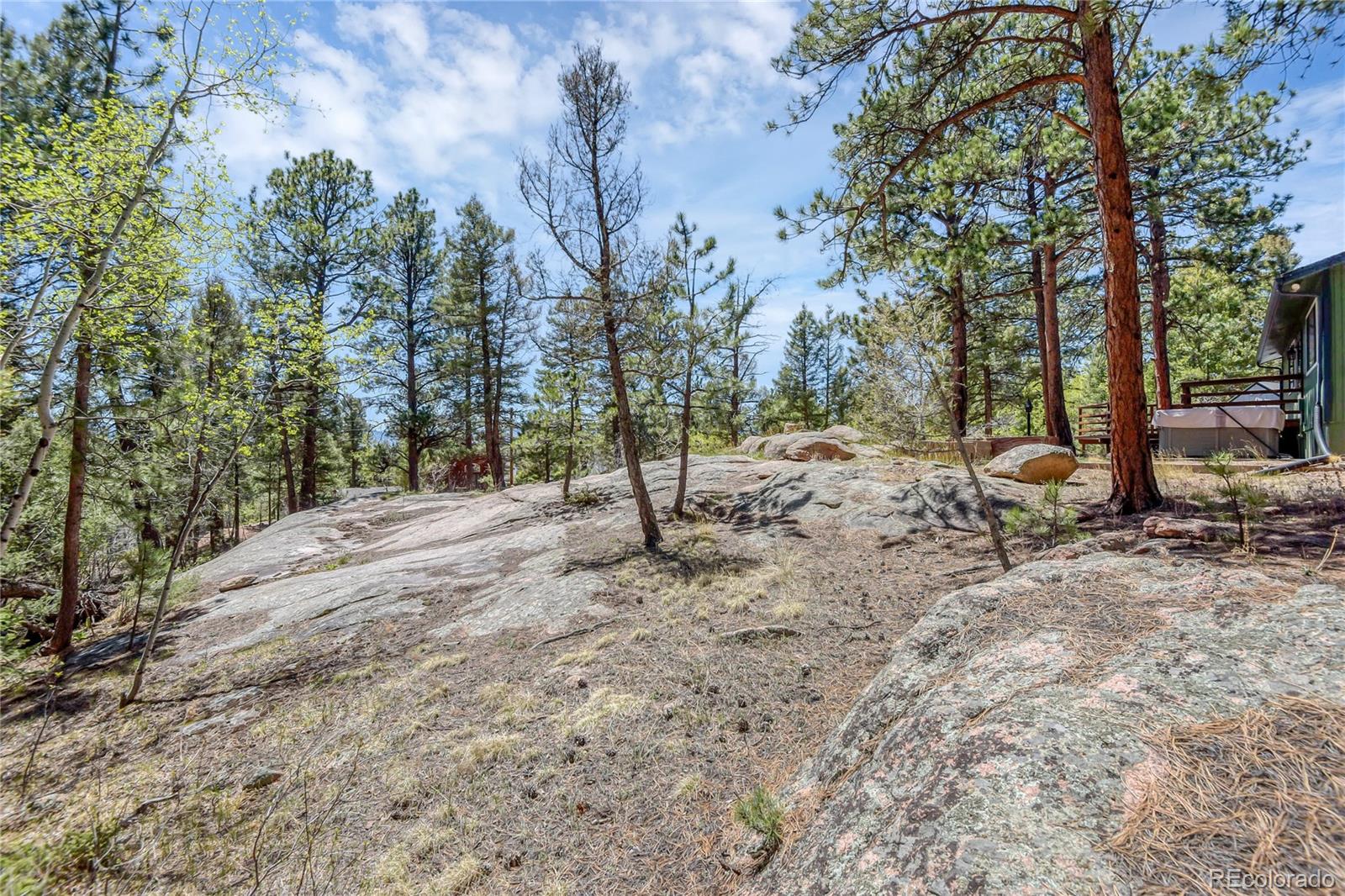 MLS Image #18 for 12276  styve road,conifer, Colorado