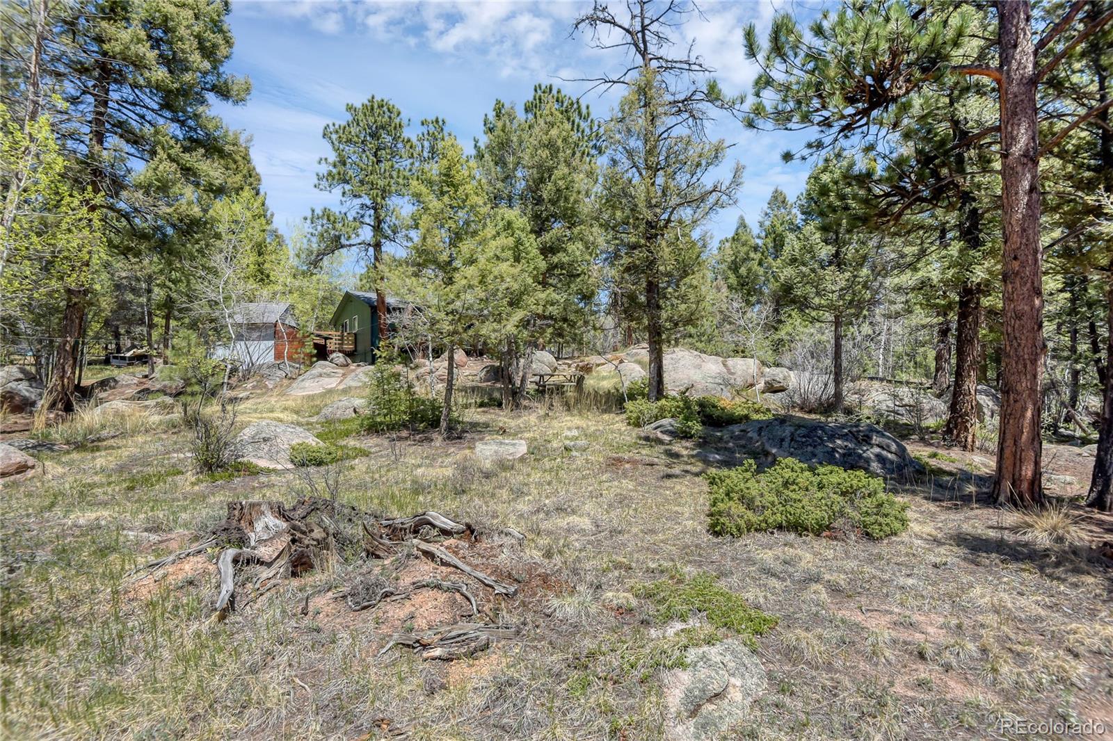MLS Image #20 for 12276  styve road,conifer, Colorado