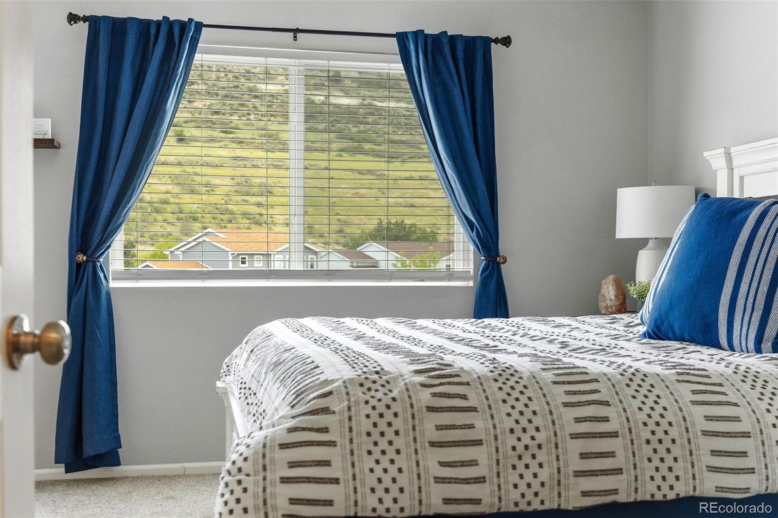 MLS Image #19 for 7026  pine hills way,littleton, Colorado