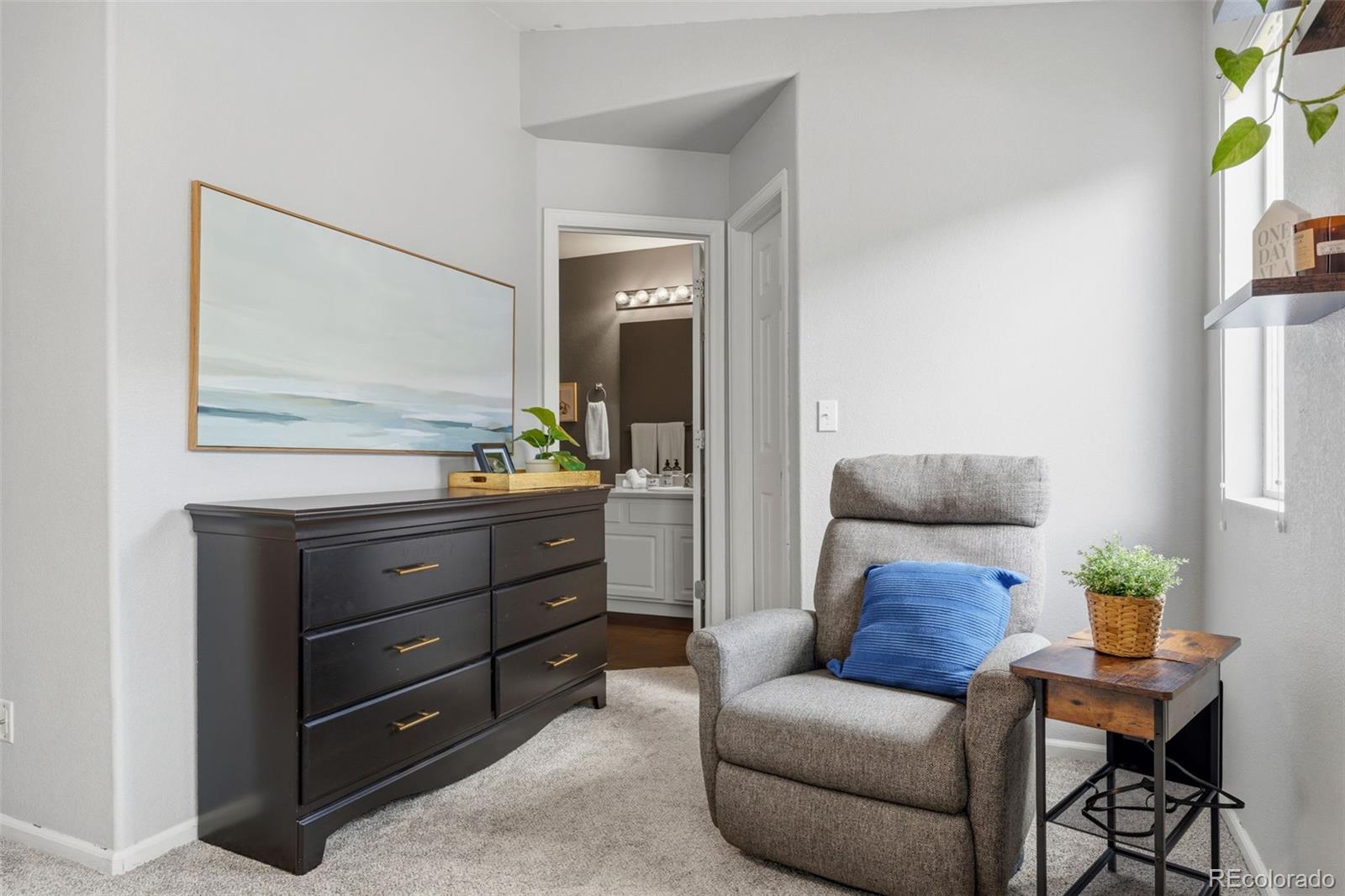 MLS Image #20 for 7026  pine hills way,littleton, Colorado