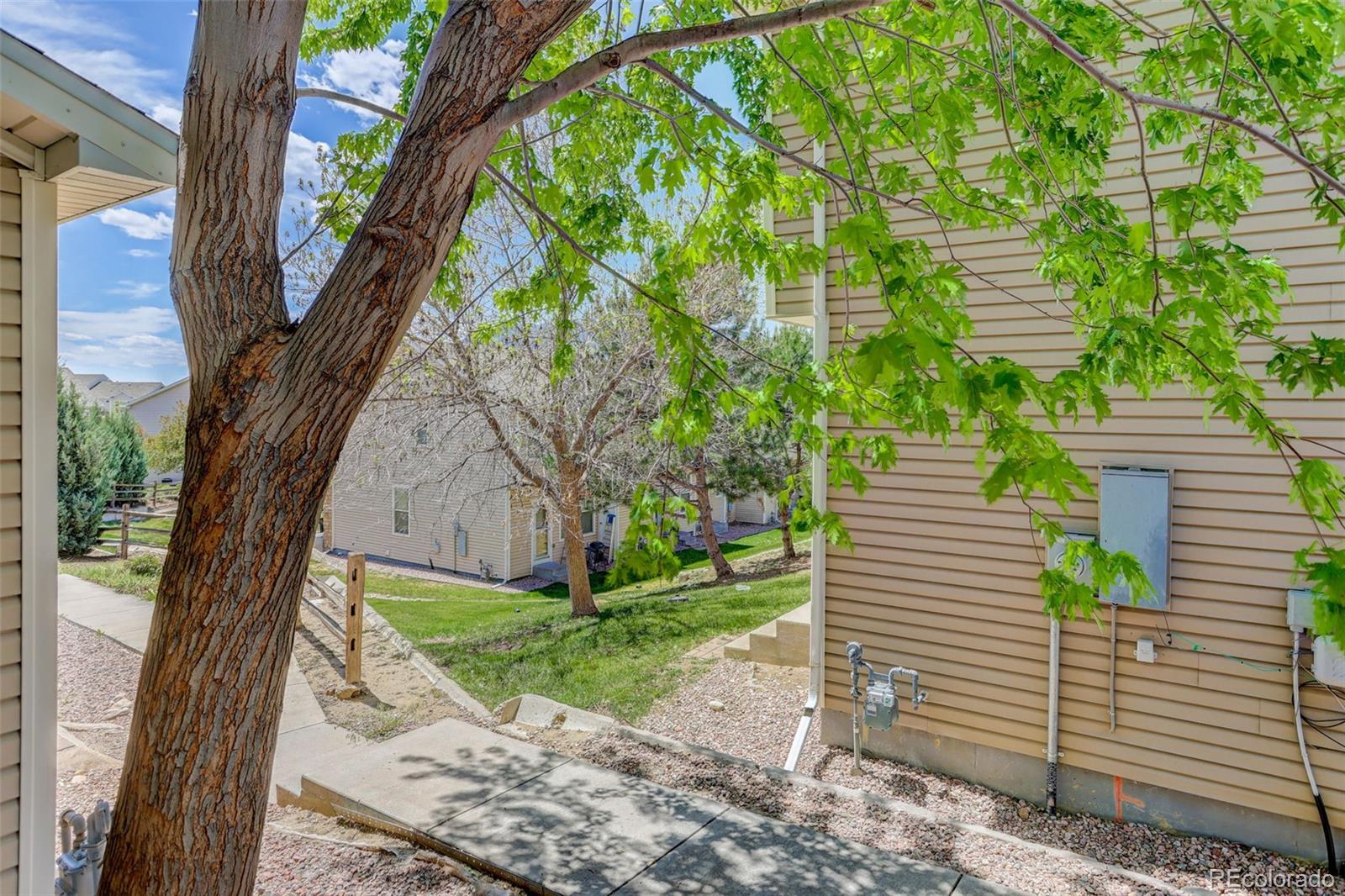 MLS Image #29 for 2116  creekridge point,colorado springs, Colorado