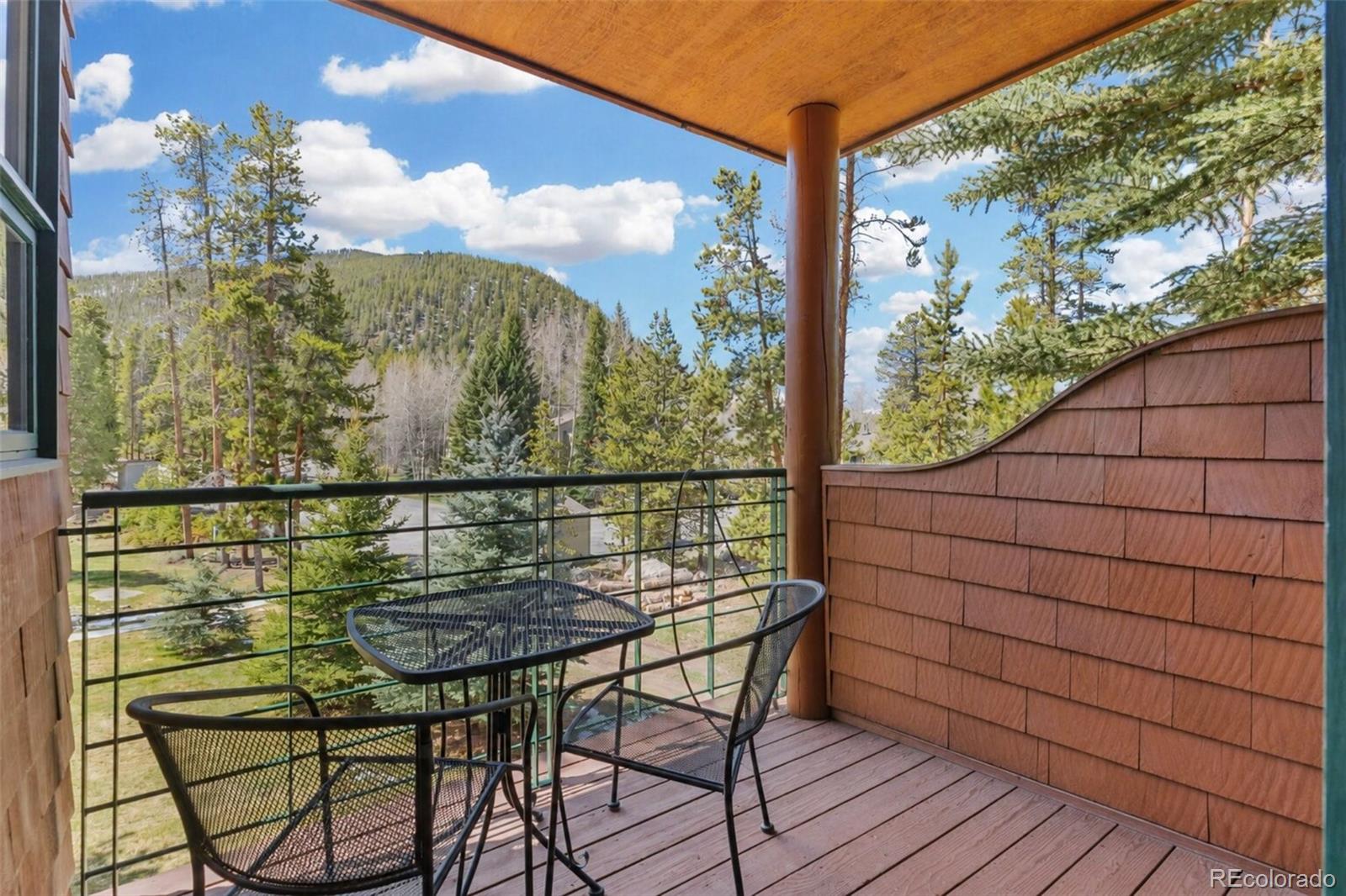 MLS Image #22 for 2007  soda ridge road,dillon, Colorado