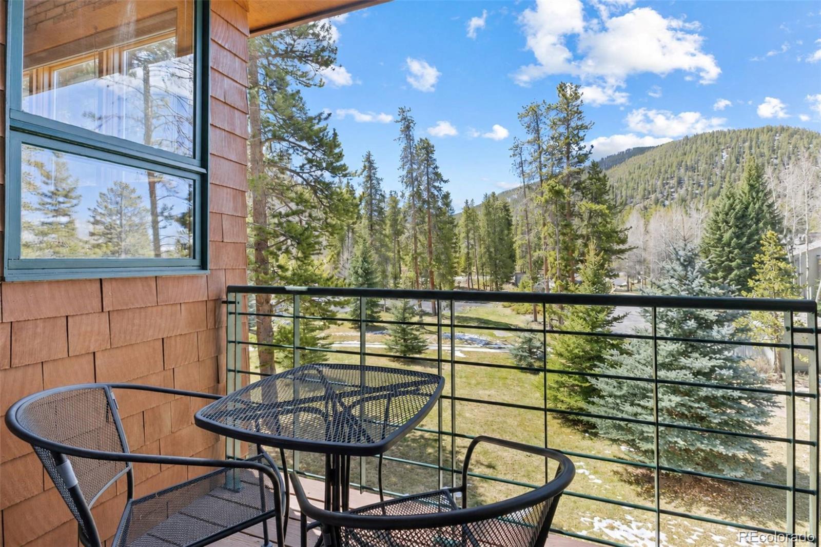 MLS Image #23 for 2007  soda ridge road,dillon, Colorado
