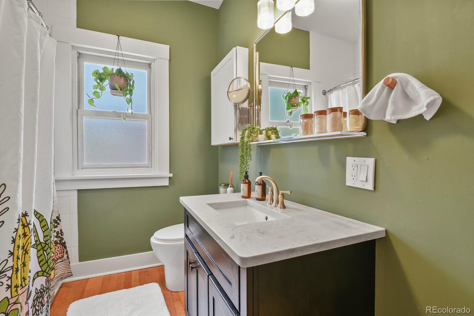 MLS Image #23 for 912 n corona street,colorado springs, Colorado