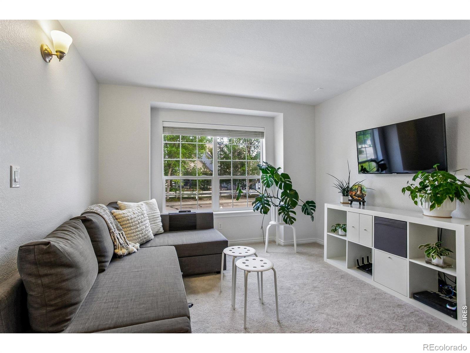 MLS Image #12 for 4219  prairie fire circle,longmont, Colorado