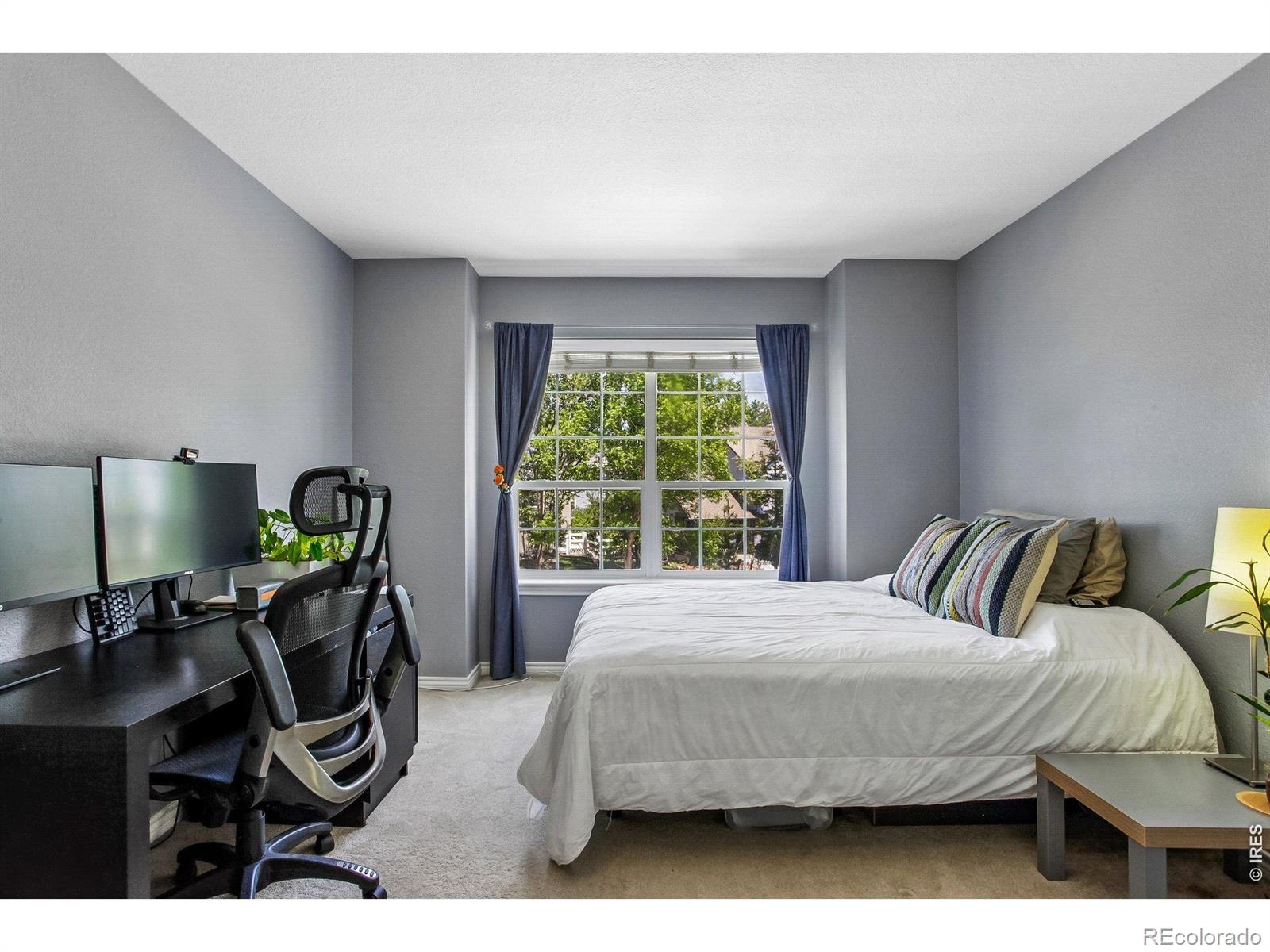 MLS Image #16 for 4219  prairie fire circle,longmont, Colorado