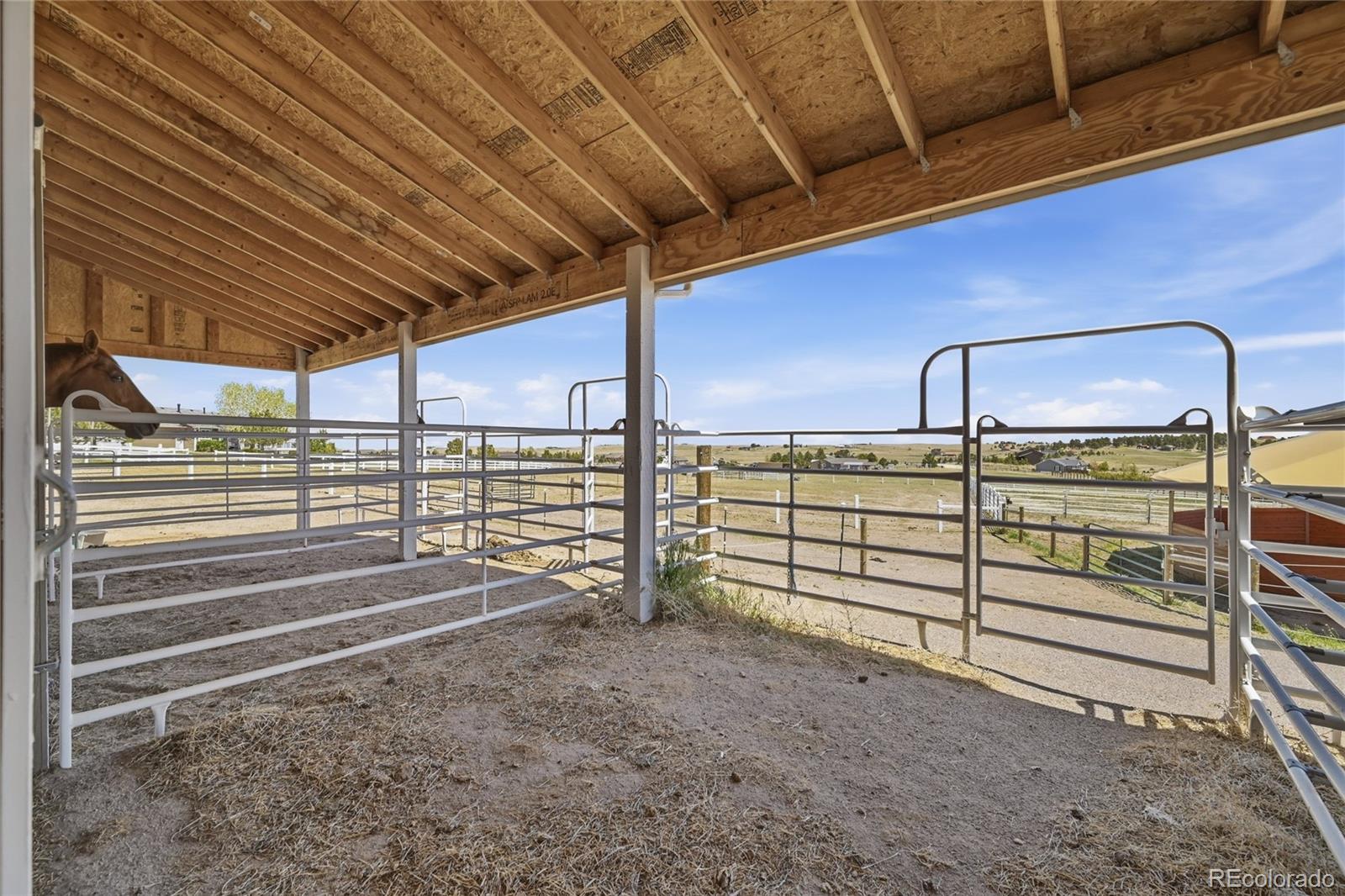 MLS Image #5 for 6620  shannon circle,kiowa, Colorado