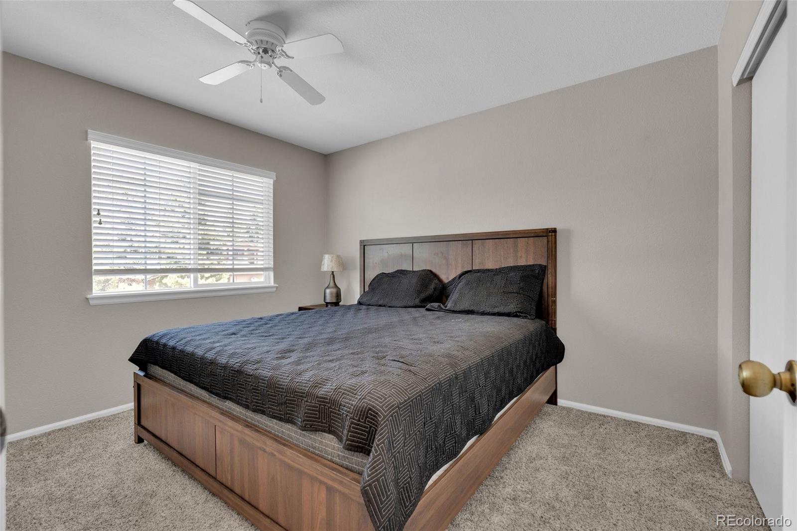 MLS Image #17 for 1326  northridge road,highlands ranch, Colorado