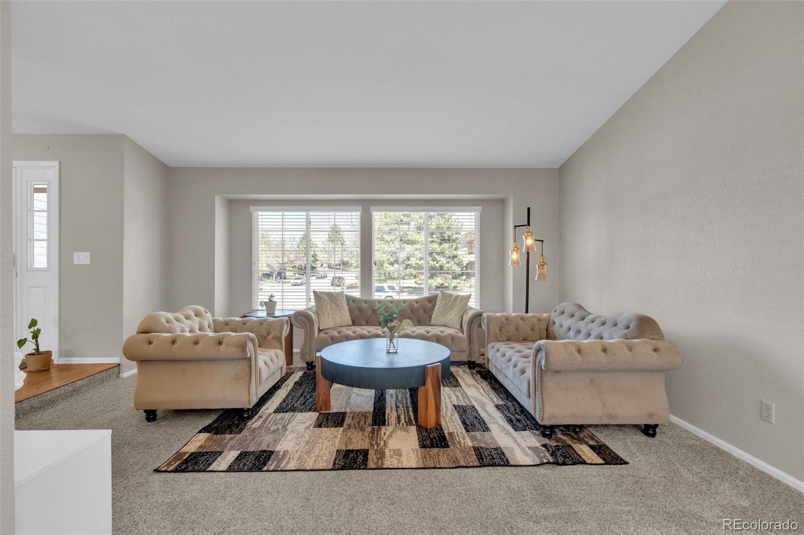 MLS Image #6 for 1326  northridge road,highlands ranch, Colorado