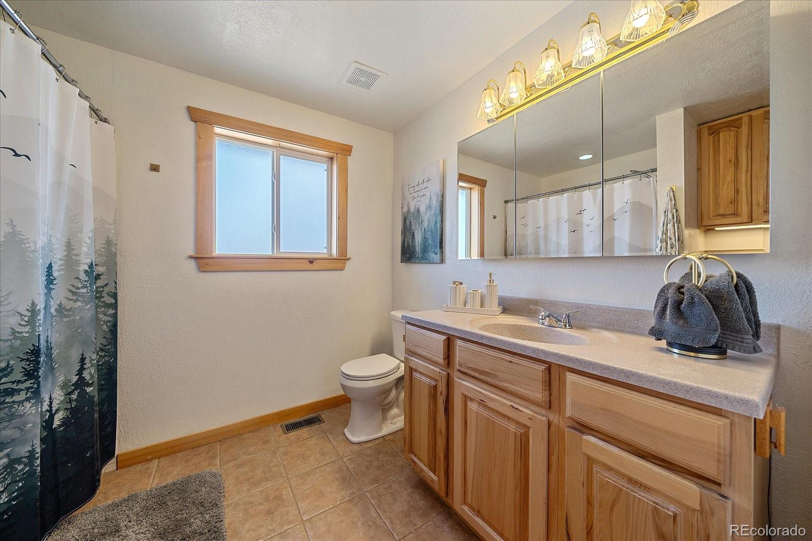 MLS Image #19 for 64  flint circle,como, Colorado