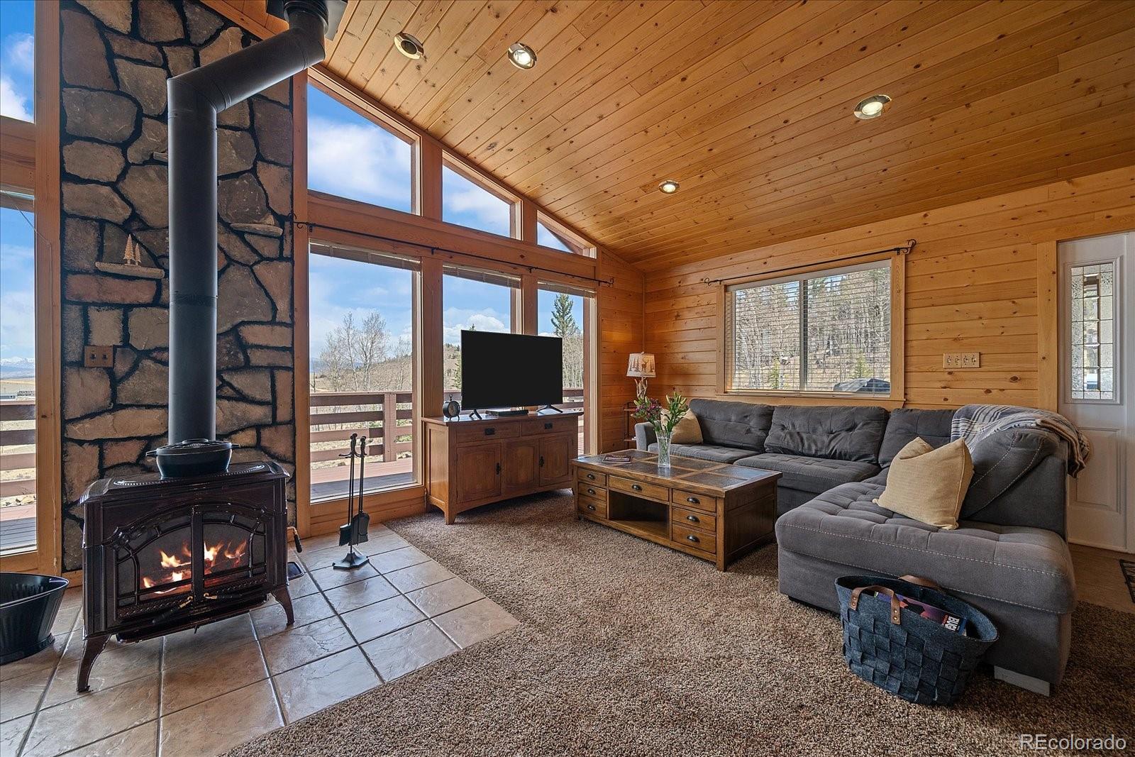 MLS Image #8 for 64  flint circle,como, Colorado