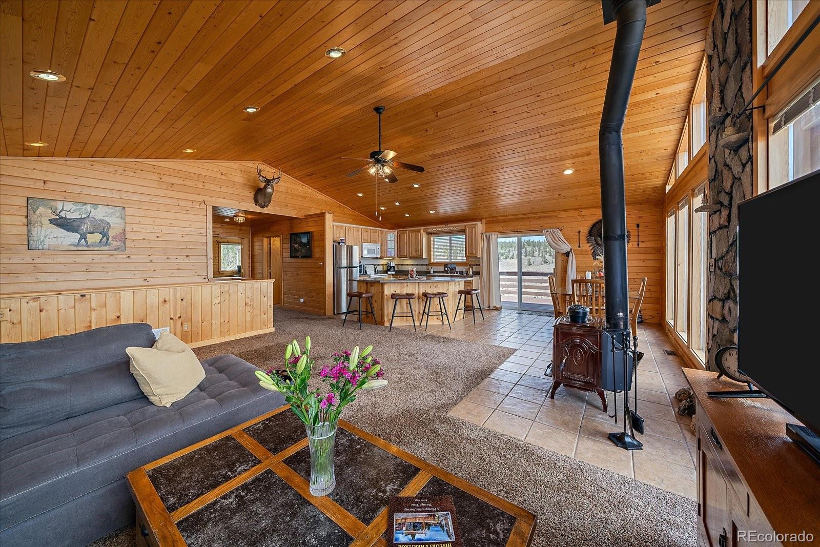 MLS Image #9 for 64  flint circle,como, Colorado
