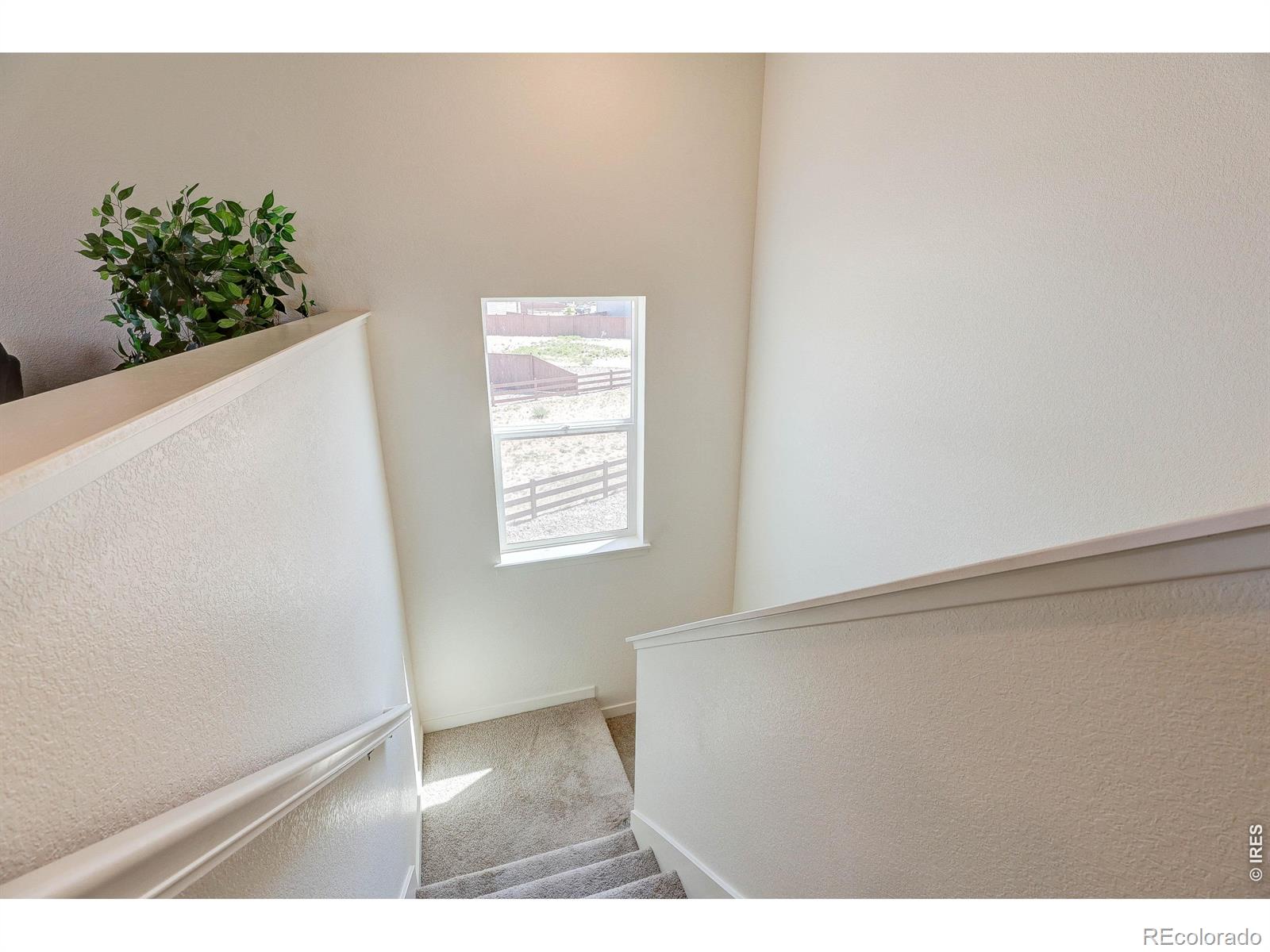 MLS Image #12 for 2744  wren drive,johnstown, Colorado
