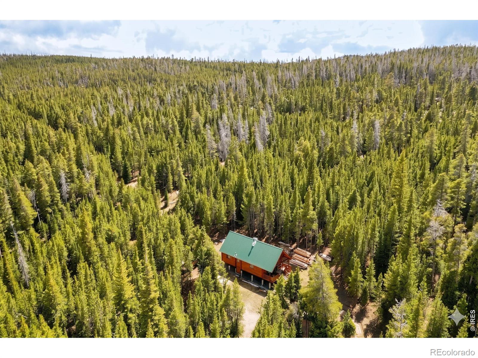 MLS Image #20 for 10000  forest rd 169 ,red feather lakes, Colorado