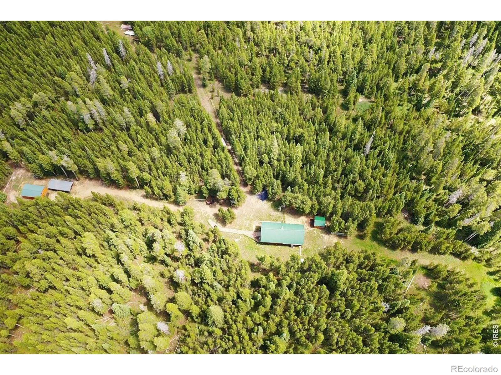 MLS Image #22 for 10000  forest rd 169 ,red feather lakes, Colorado
