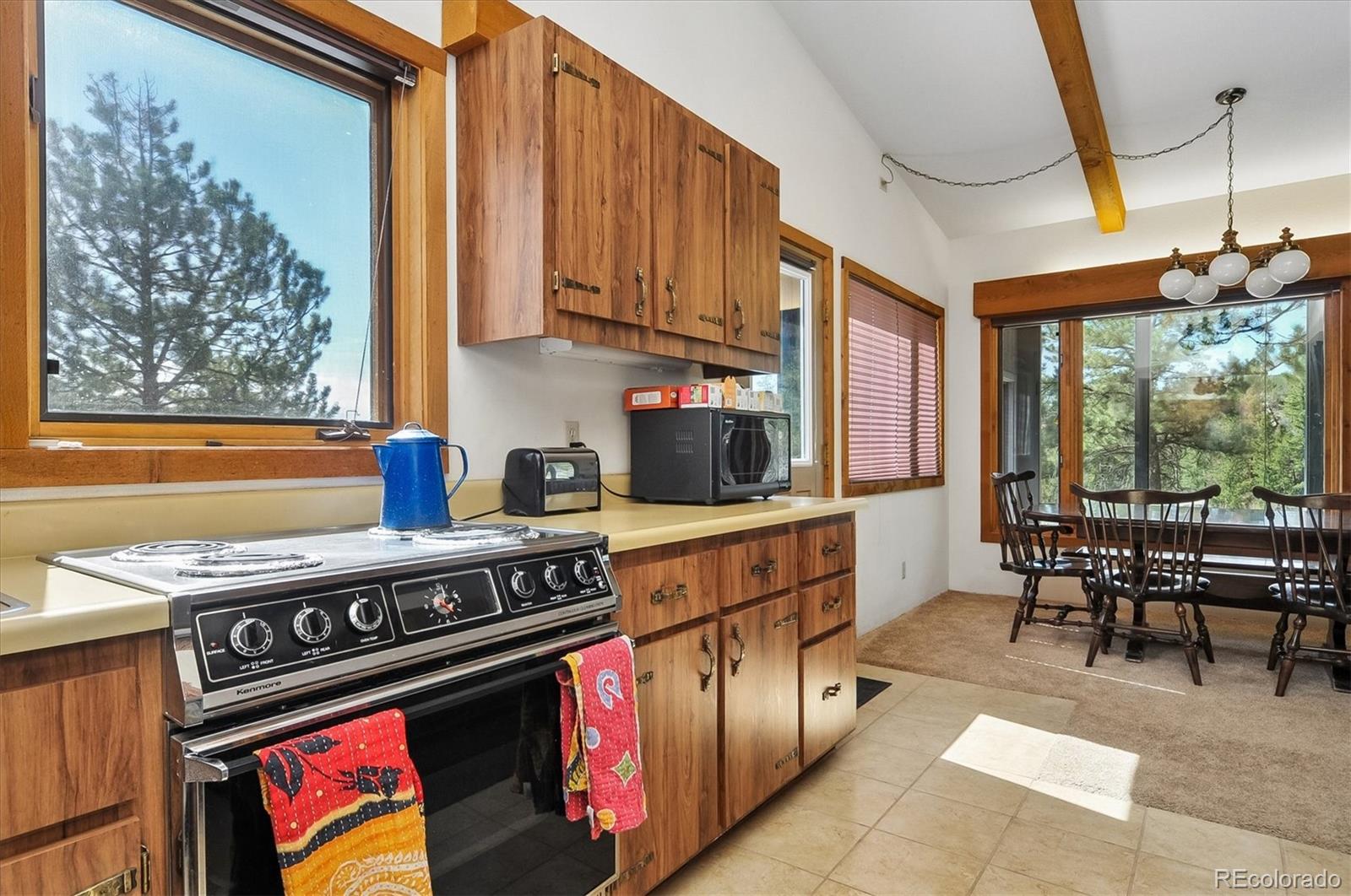 MLS Image #13 for 18480  morrison creek circle,buena vista, Colorado