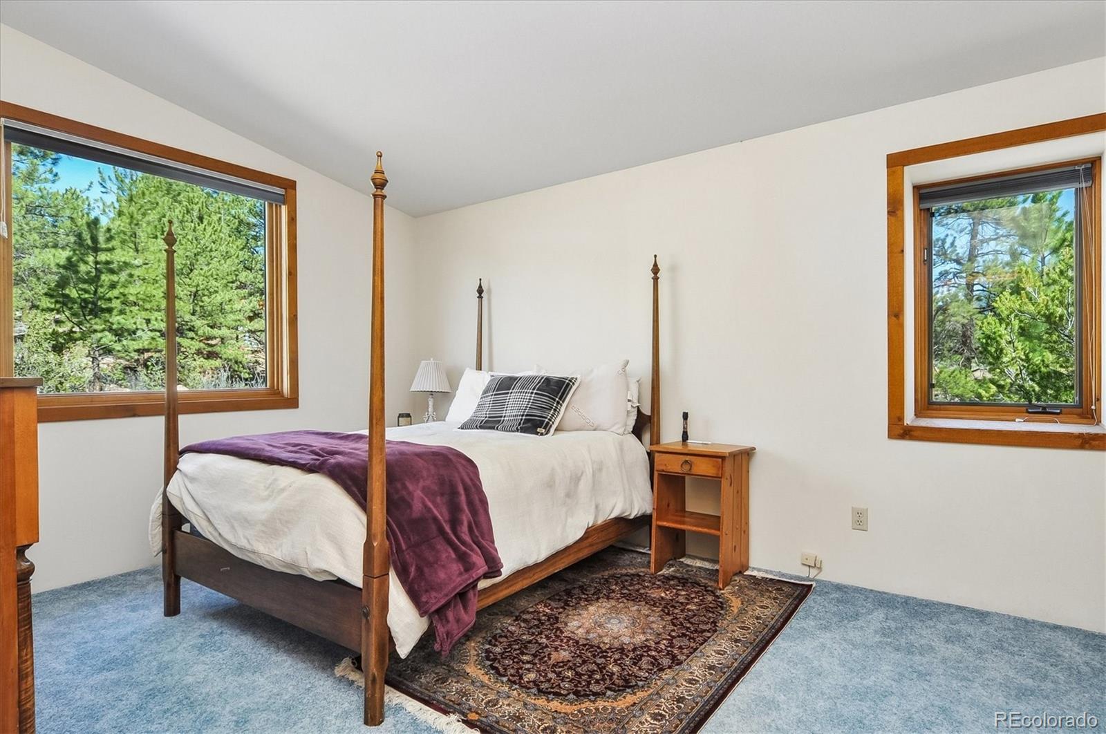 MLS Image #17 for 18480  morrison creek circle,buena vista, Colorado